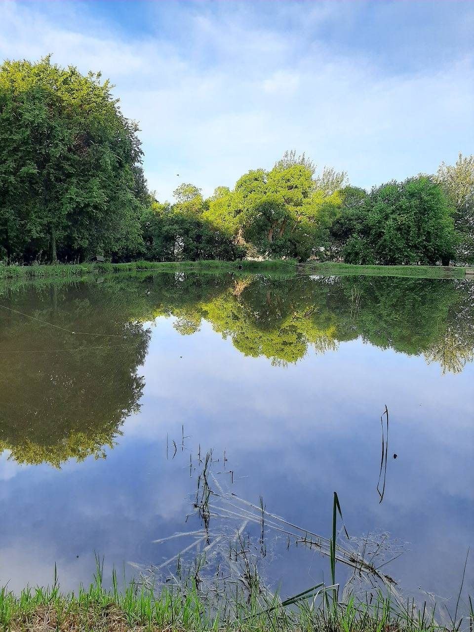 The dam at Little Forest Camps